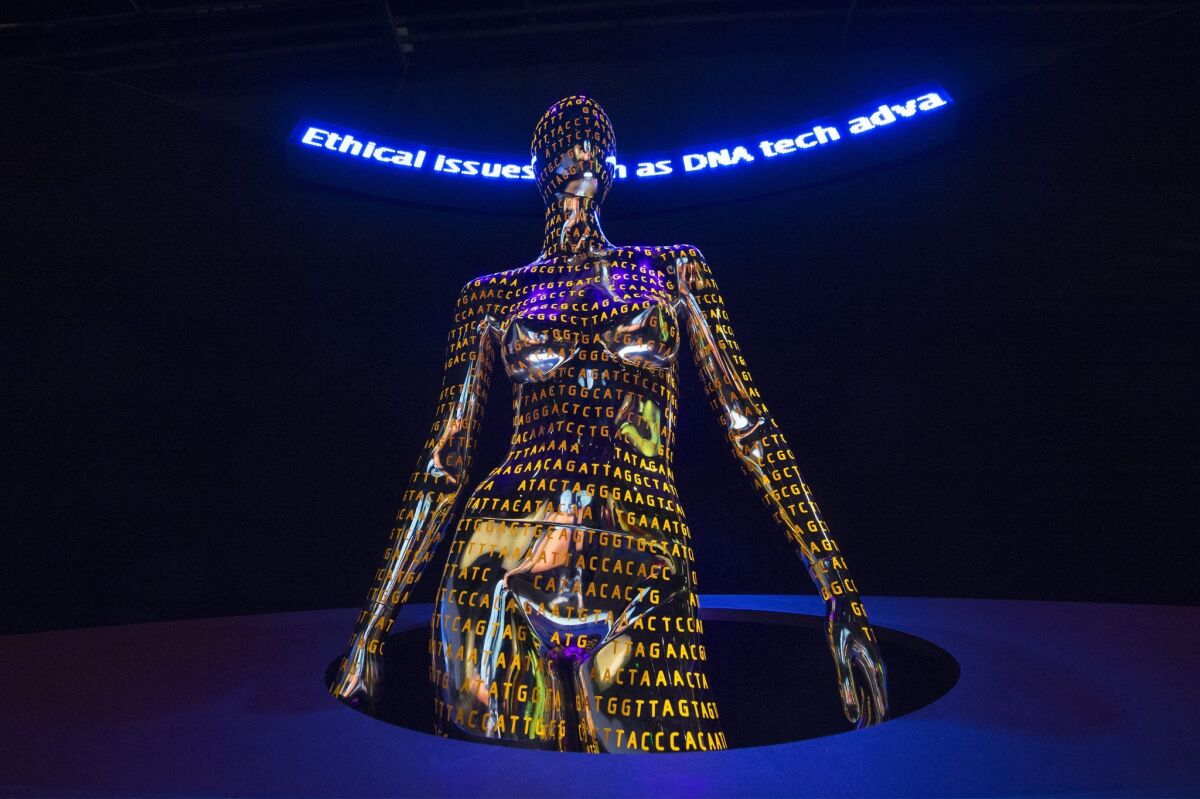 A display at the Smithsonian's National Museum of Natural History in Washington celebrates the Human Genome Project with a depiction of the DNA code.