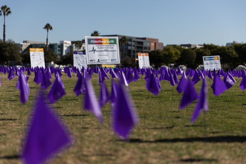 Purple flags representing lost lives to overdose were placed on the grassy field by the San Diego County Administration Building to commemorate International Overdose Awareness Day on Wednesday, Aug. 31, 2022. The worldwide campaign helps raise awareness of overdose prevention and remembers victims of overdose deaths without stigma.