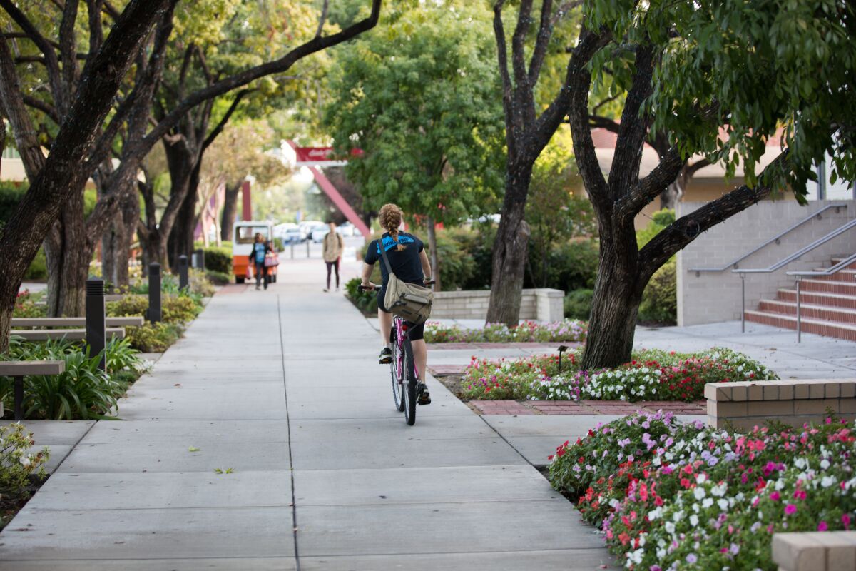 A student bikes on a pathway at Biola University.