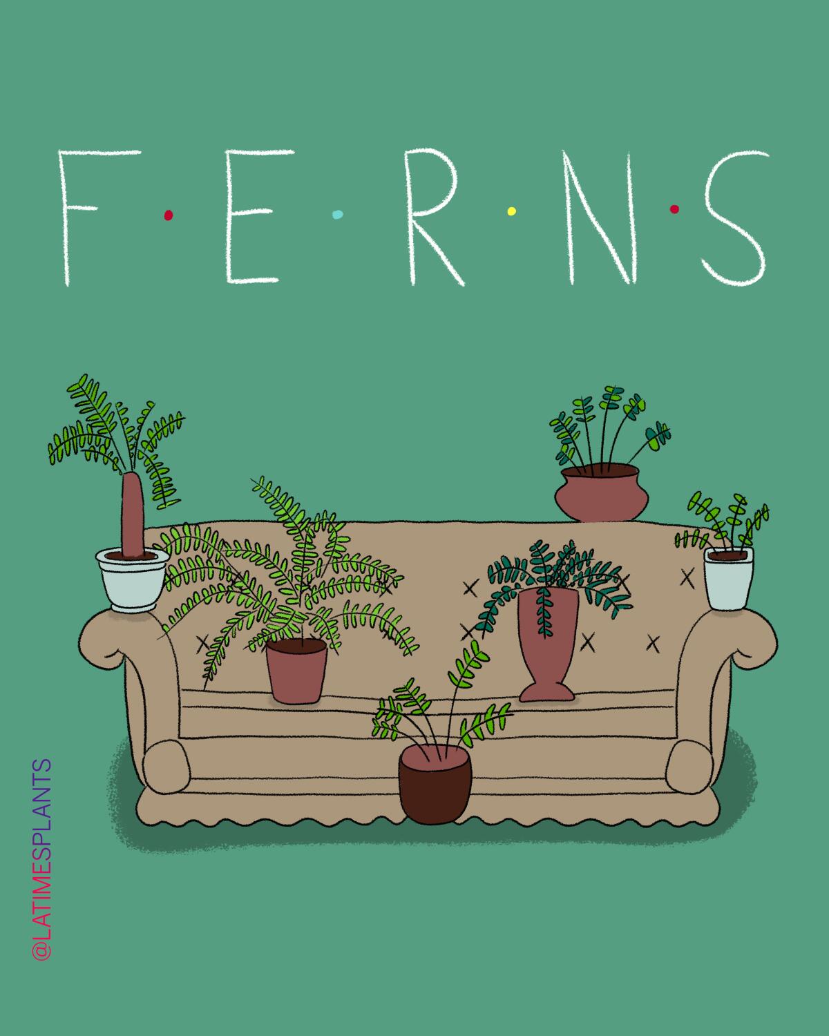 F.E.R.N.S