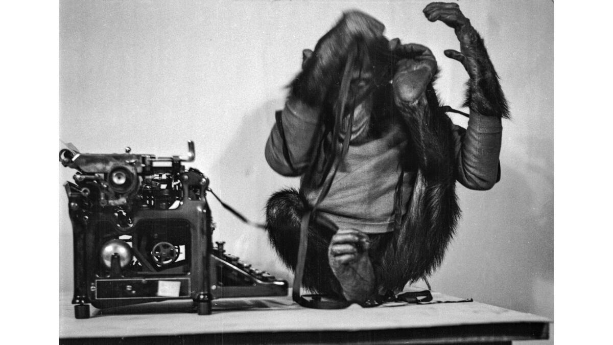 Jan. 18, 1936: A chimpanzee named Shorty plays with a typewriter.