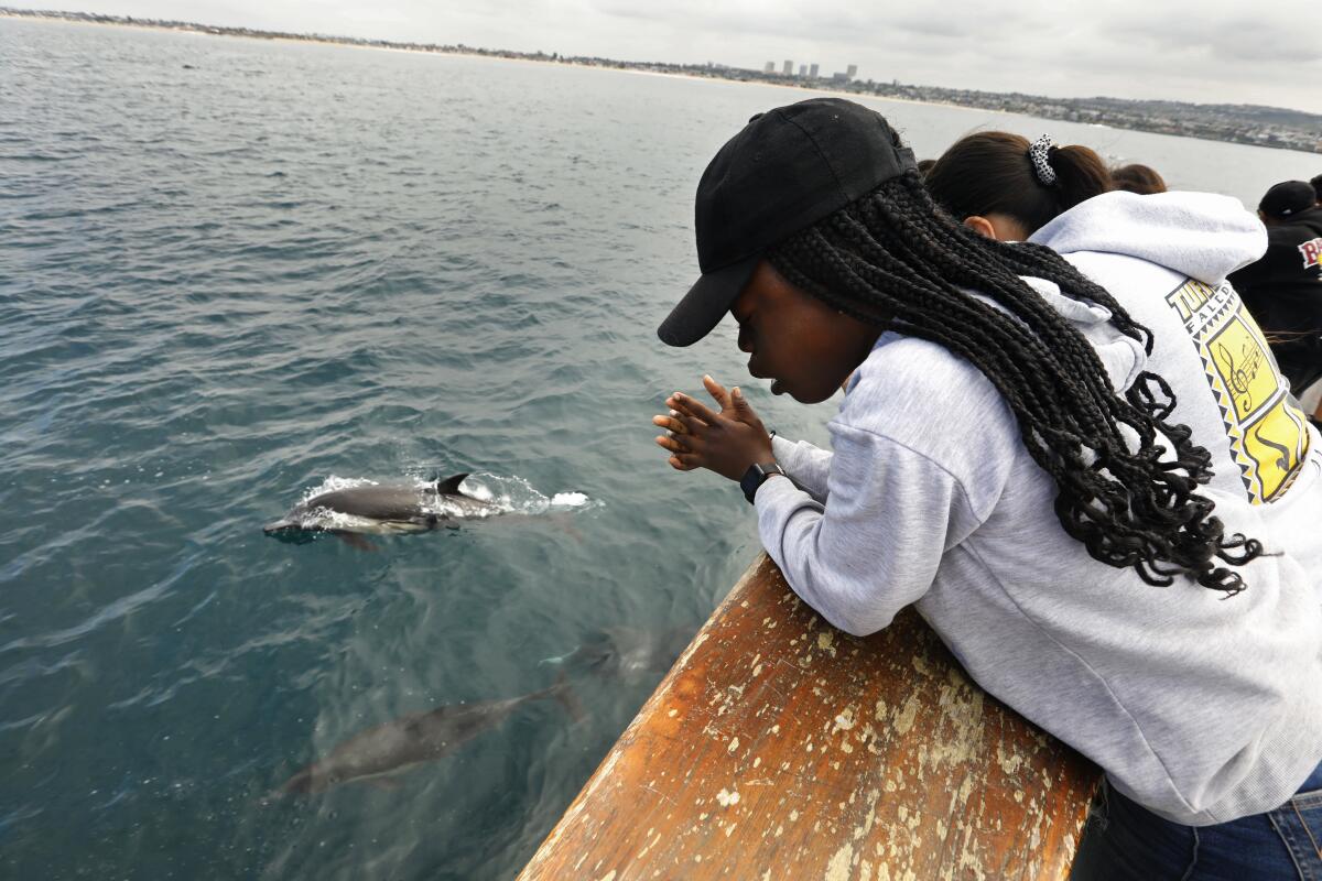 Moyinoluwa Jaiyeola, 13, watches common dolphins on a student science trip off of Newport Beach. 