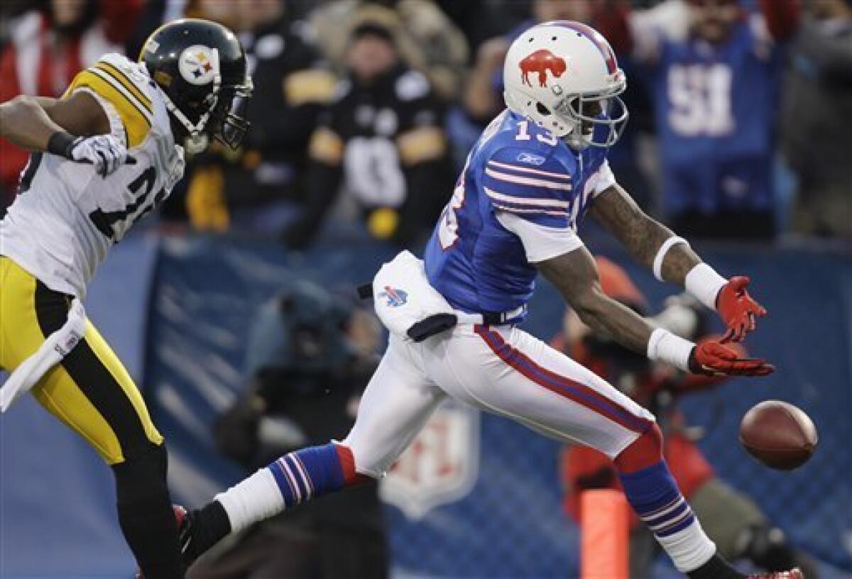 Buffalo Bills wide receiver Steve Johnson reacts after a play during an NFL  football game against the New England Patriots in Orchard Park, N.Y. on  Sunday, Dec. 26, 2010. New England won