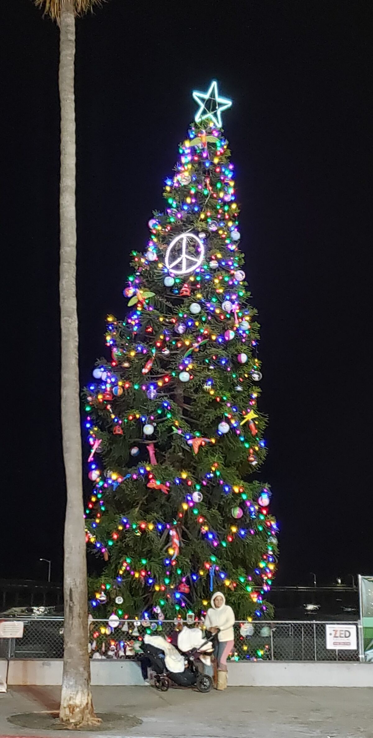 The 2019 OB Christmas Tree stands proud on the beach at the pier.