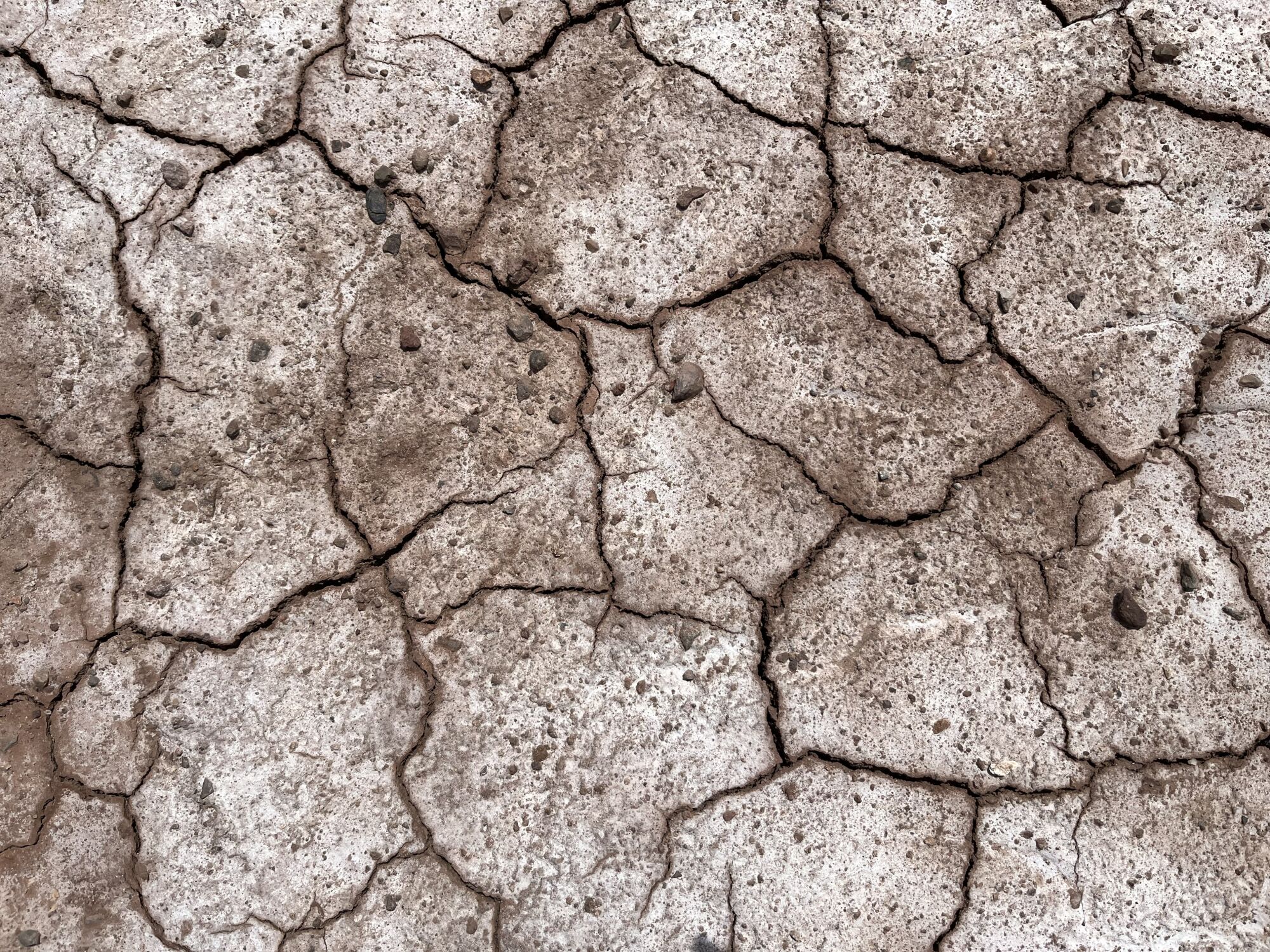 A horizontal detail of cracked, dry earth.