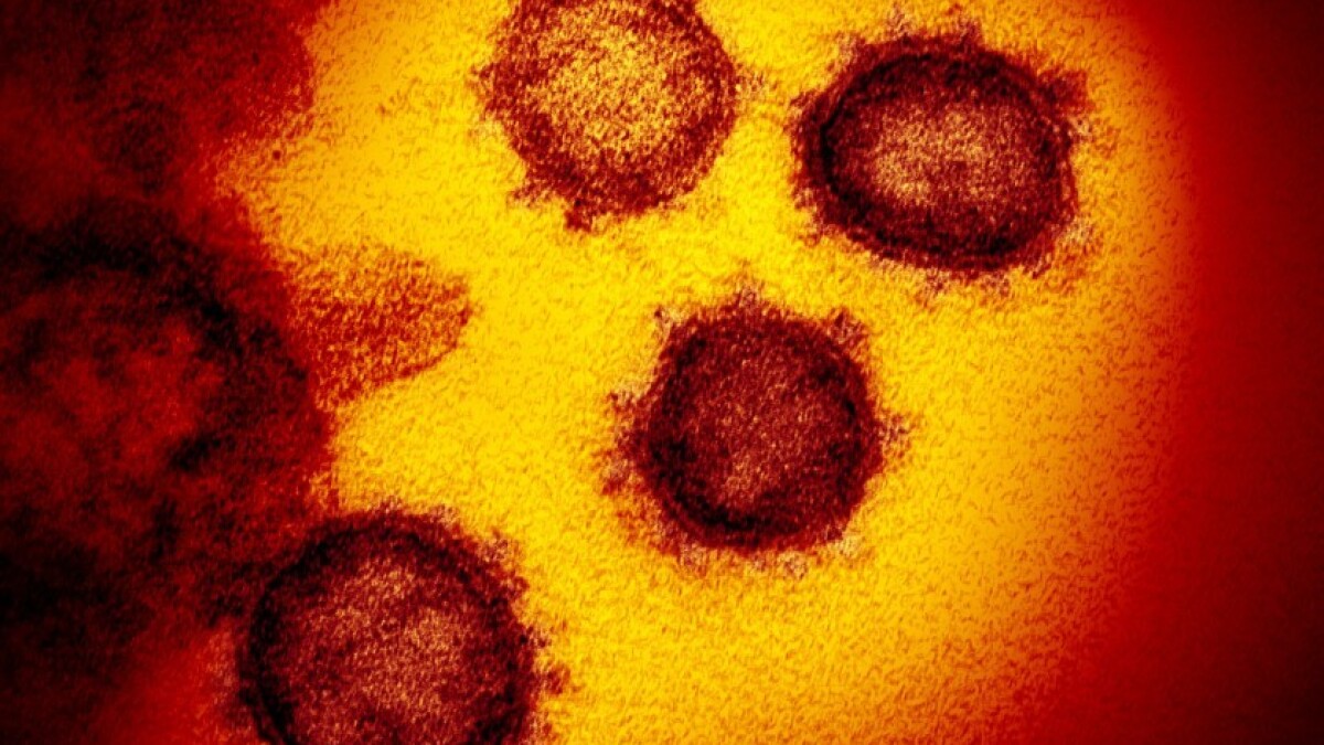 La variante Delta del coronavirus altamente contagiosa, se propaga  rápidamente en California - Los Angeles Times