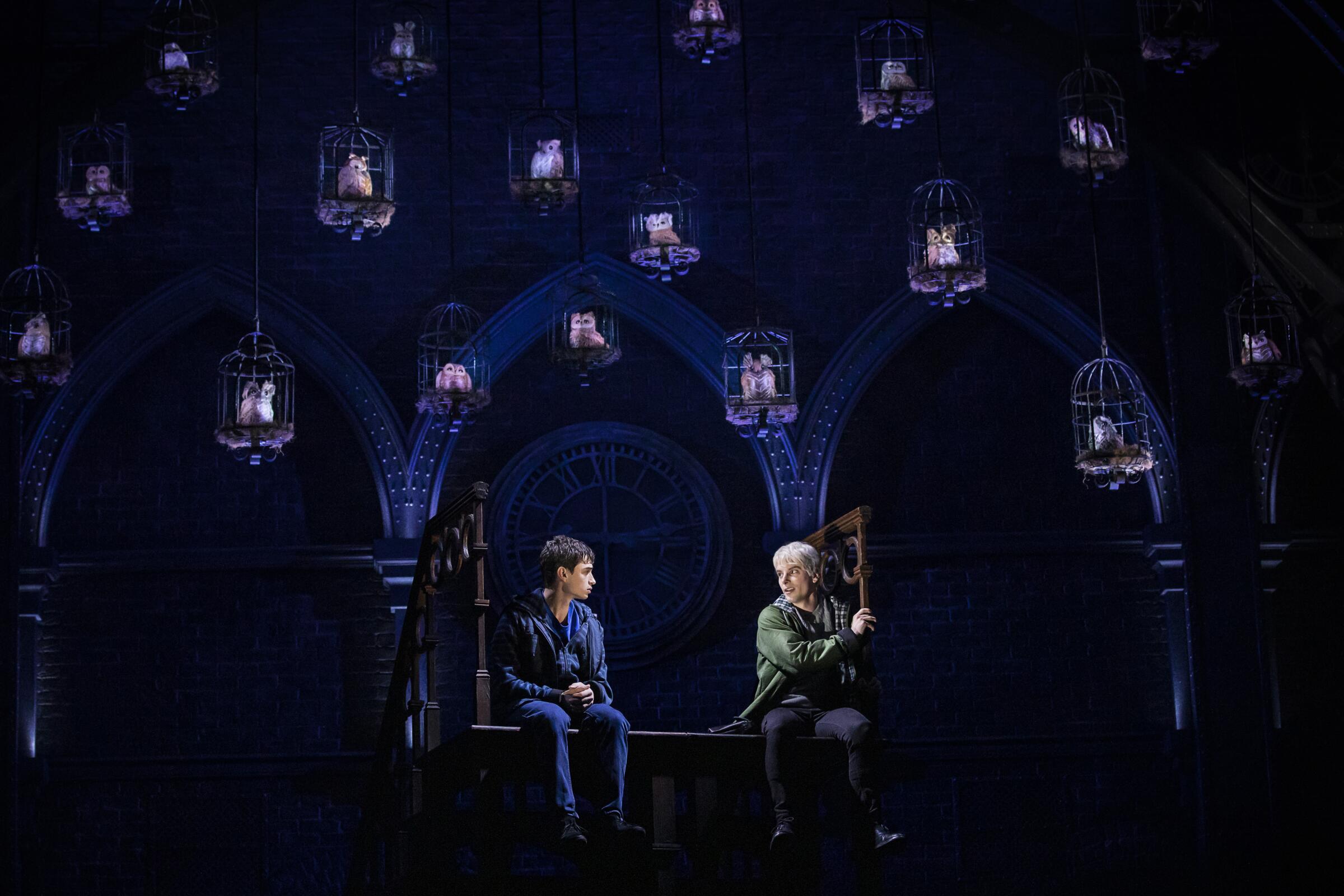 Two young men sit on a dark stage in front of a wall of owl cages.