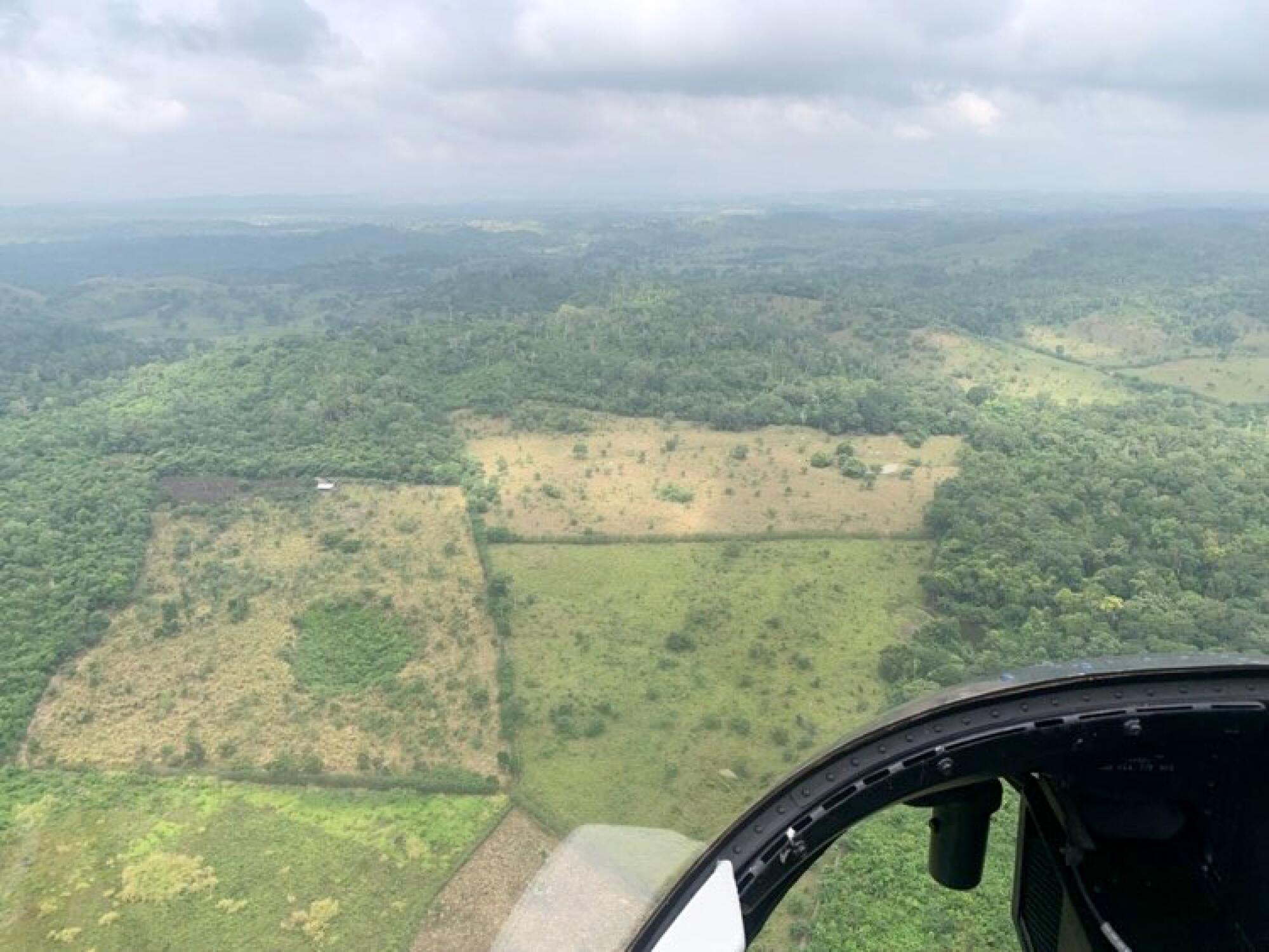 Vista aérea de las zonas deforestadas en las orillas de El Mirador en el Petén