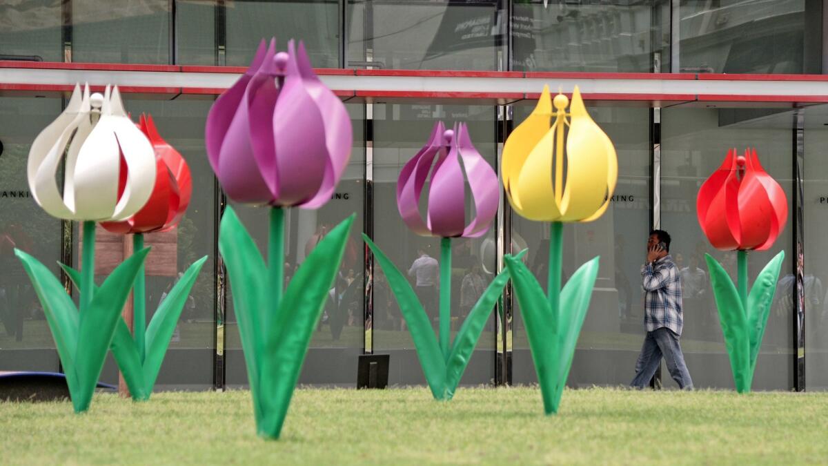 A man walks past a tulip flower installation at Gardens by the Bay in Singapore.