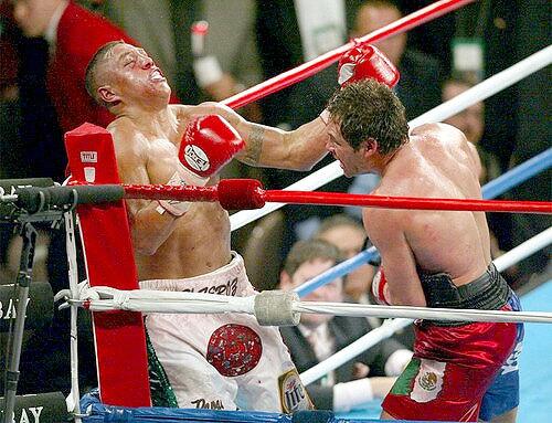 Oscar De La Hoya, Fernando Vargas