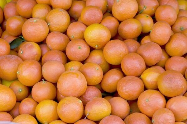 Fremont mandarins