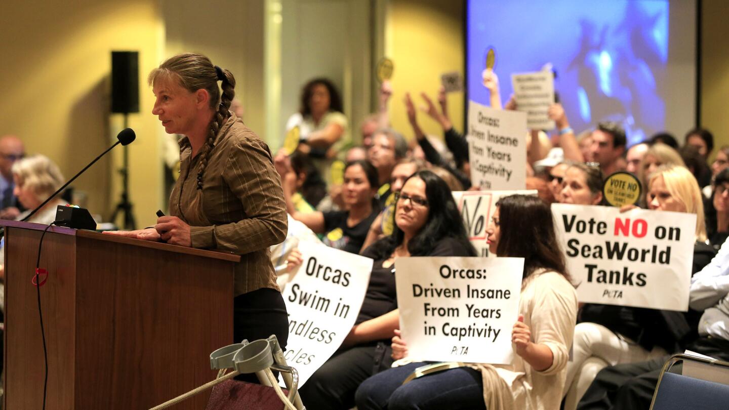 California Coastal Commission meeting