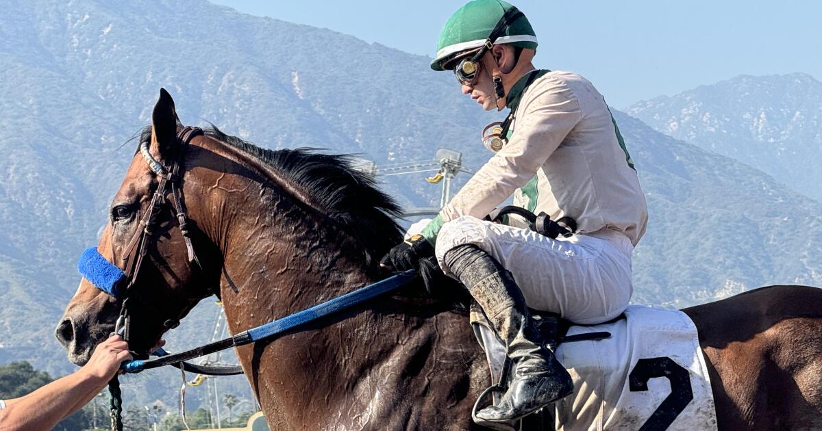 Eagles Flight, half brother to Flightline, makes impressive winning debut at Santa Anita