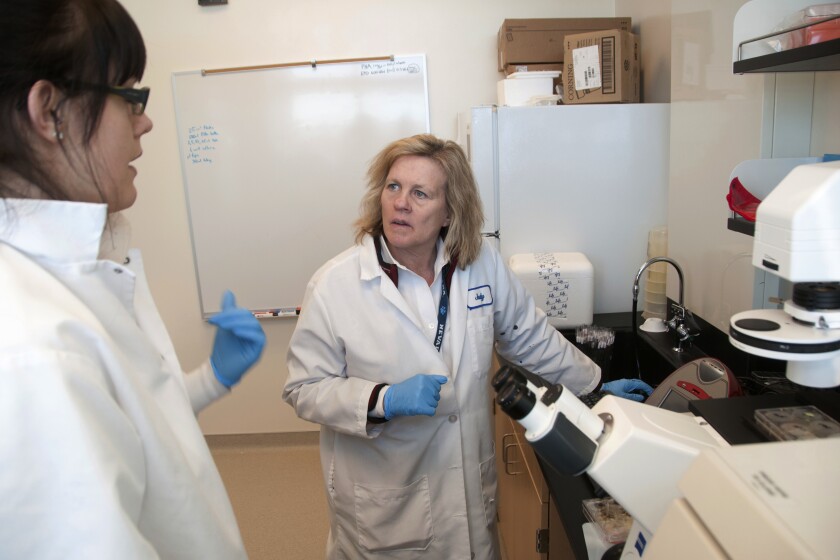 Judy Mikovits talks to a graduate student and research associate in the lab at the Whittemore Peterson Institute for Neuro-Immune Disease, in Reno, Nev., in 2011. (David Calvert for AP Images, File)