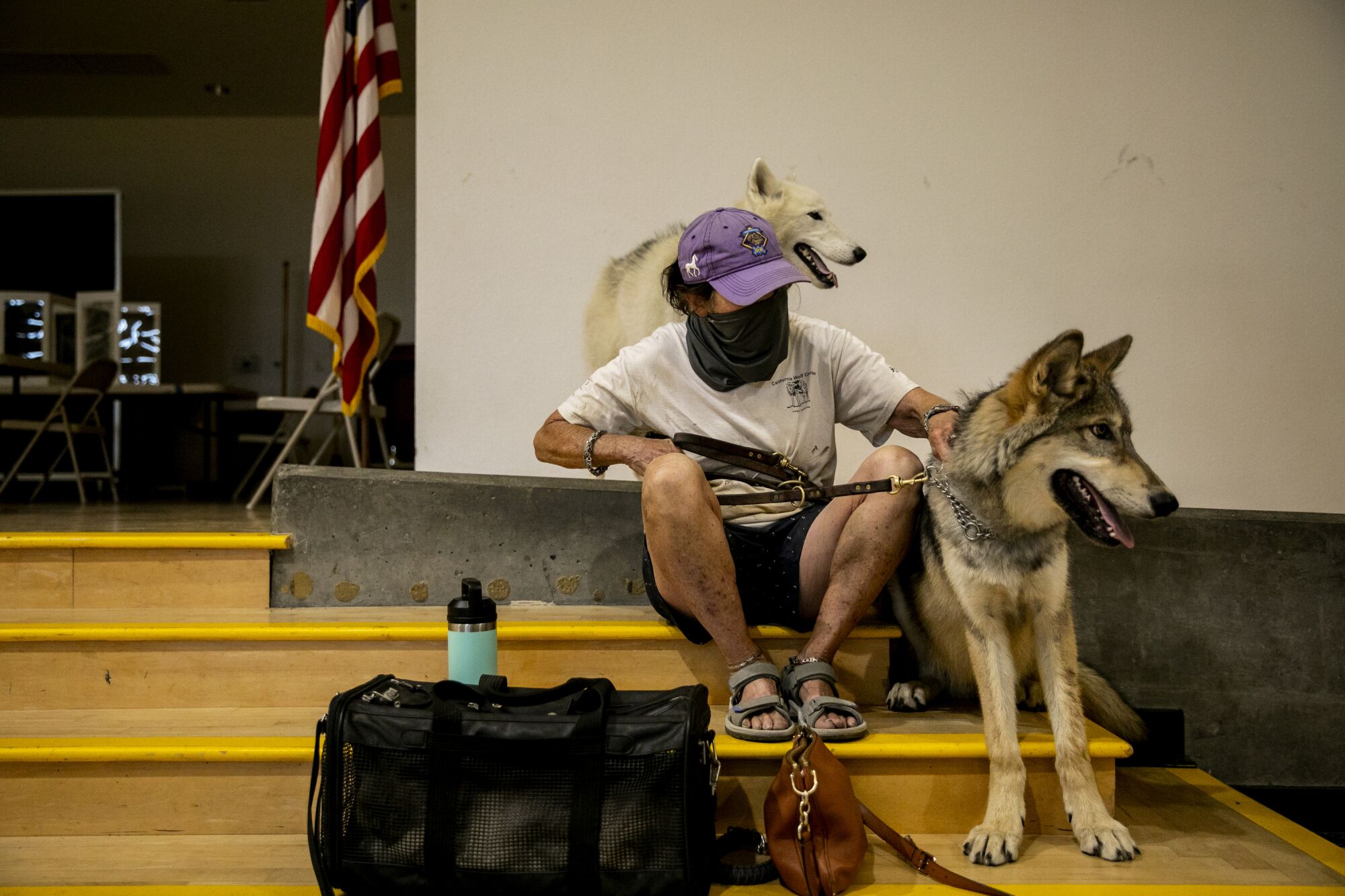 Danielle Bellieveau takes care of her dogs Keahi and Shtiya at an evacuation center