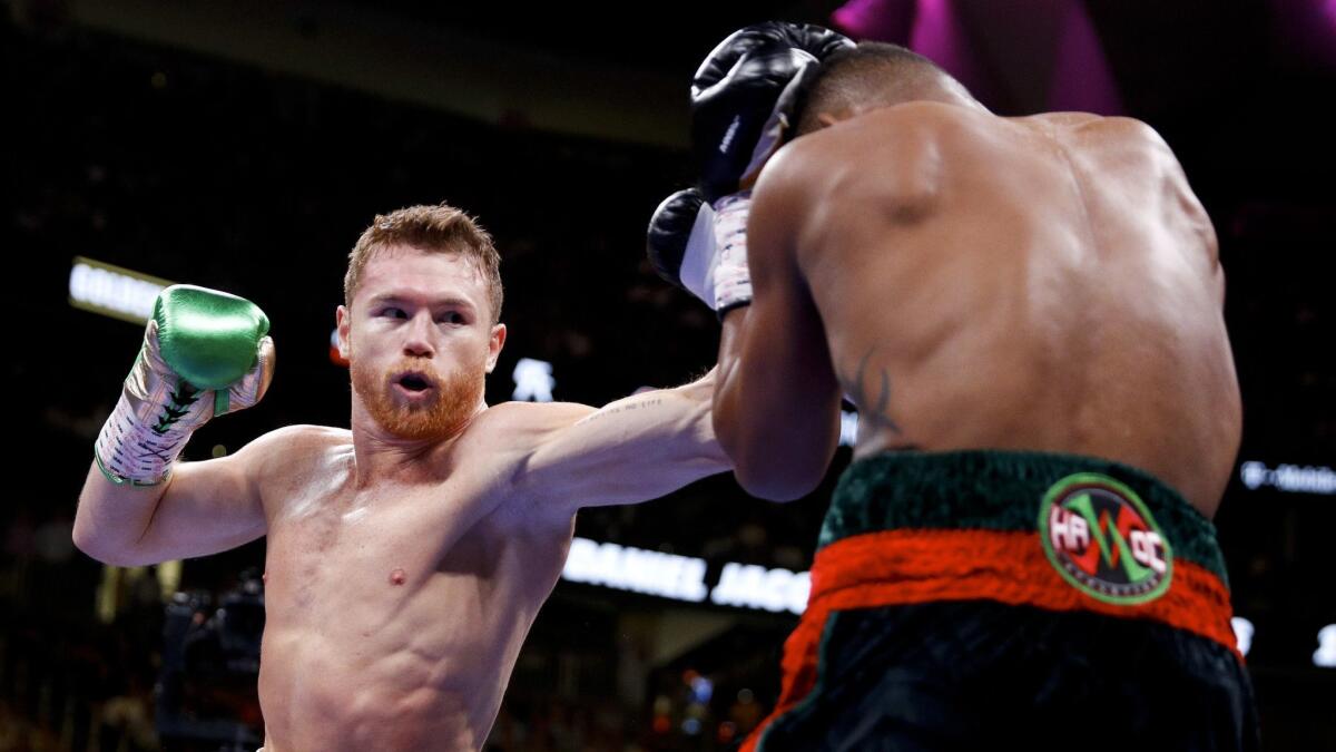 Canelo Alvarez hits Daniel Jacobs with a jab during a middleweight title bout.