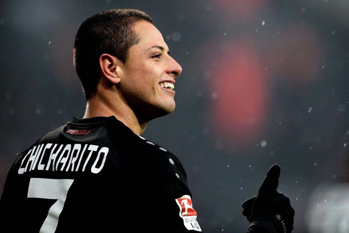 Leverkusen (Germany), 11/02/2017.- Leverkusen's Javier Hernandez celebrates after scoring the 2-0 lead during the German Bundesliga soccer match between Bayer Leverkusen and Eintracht Frankfurt in Leverkusen, Germany, 11 February 2017. (Alemania) EFE/EPA/SASCHA STEINBACH EMBARGO CONDITIONS - ATTENTION: Due to the accreditation guidelines, the DFL only permits the publication and utilisation of up to 15 pictures per match on the internet and in online media during the match. ** Usable by HOY and SD Only **
