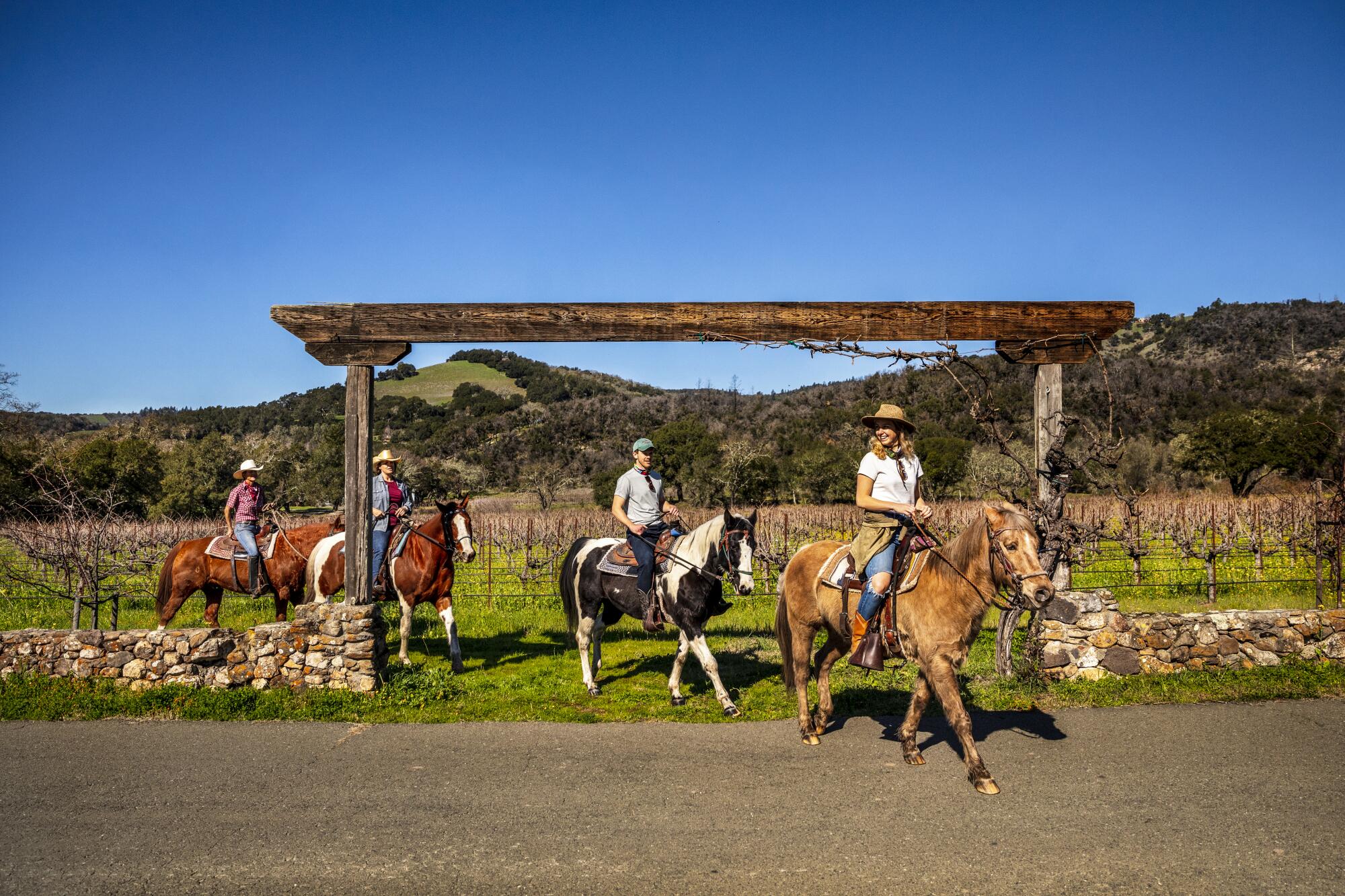 Four people ride horses under a wooden gate with vineyards in the background.