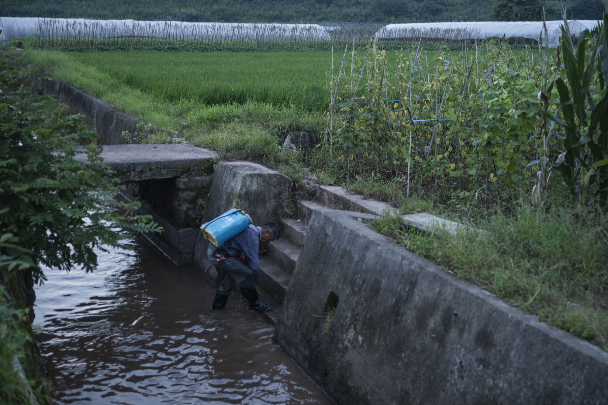 A farmer in Xixinan village steps into a stream encased in concrete.