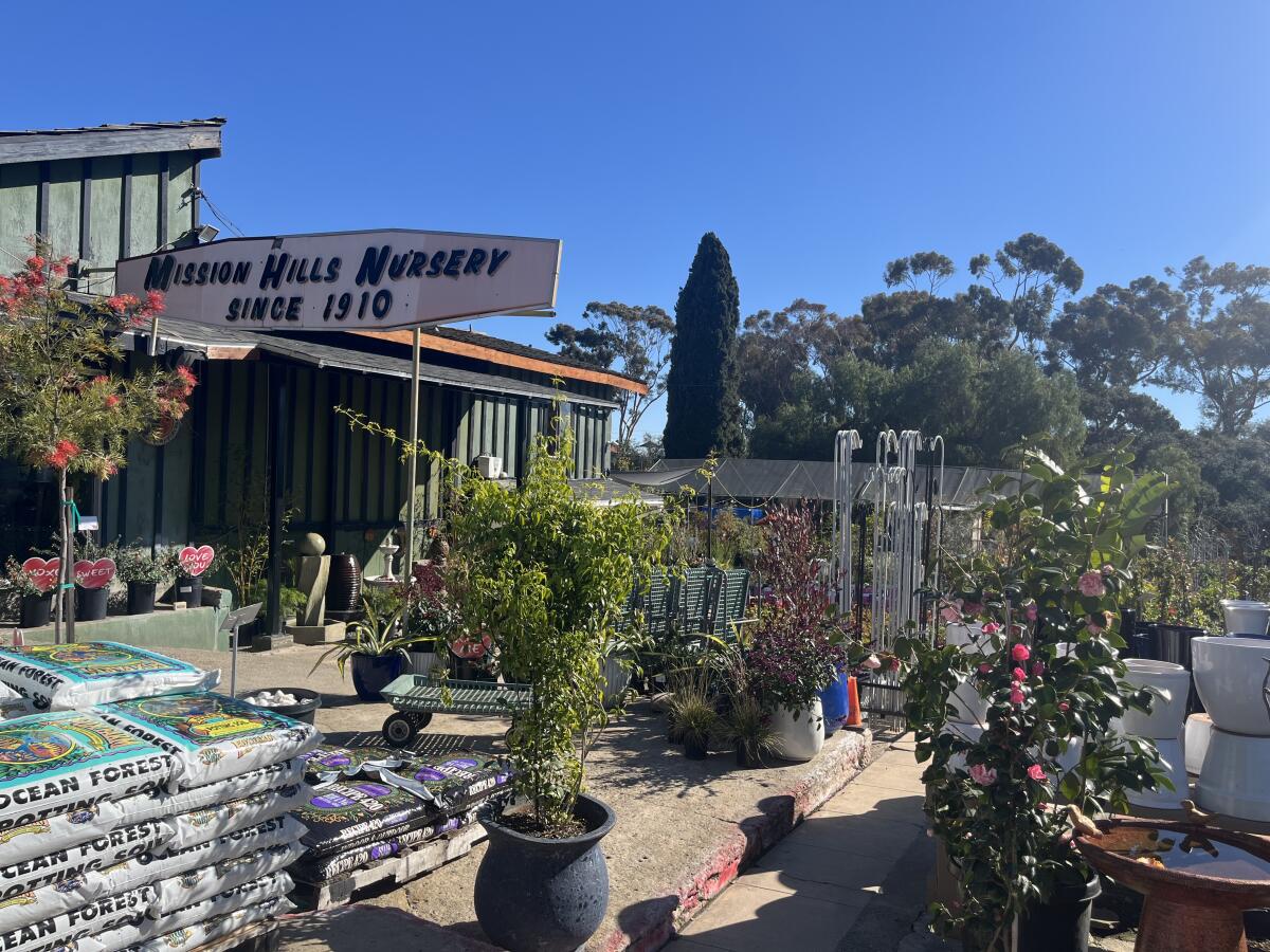 Plantidentification San diego plant stores