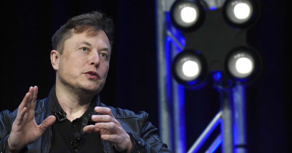 Elon Musk, Twitter and the loopy energy billionaires have Elon Musk, Twitter and the loopy energy billionaires have
