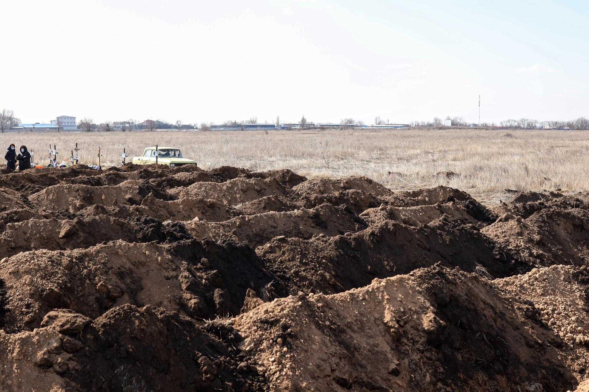 Mounds of dirt in a barren field