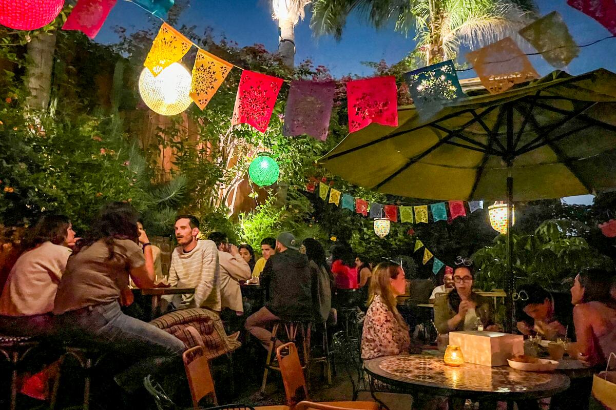 People sit outdoors at tables surrounded by greenery and colorful pendants.