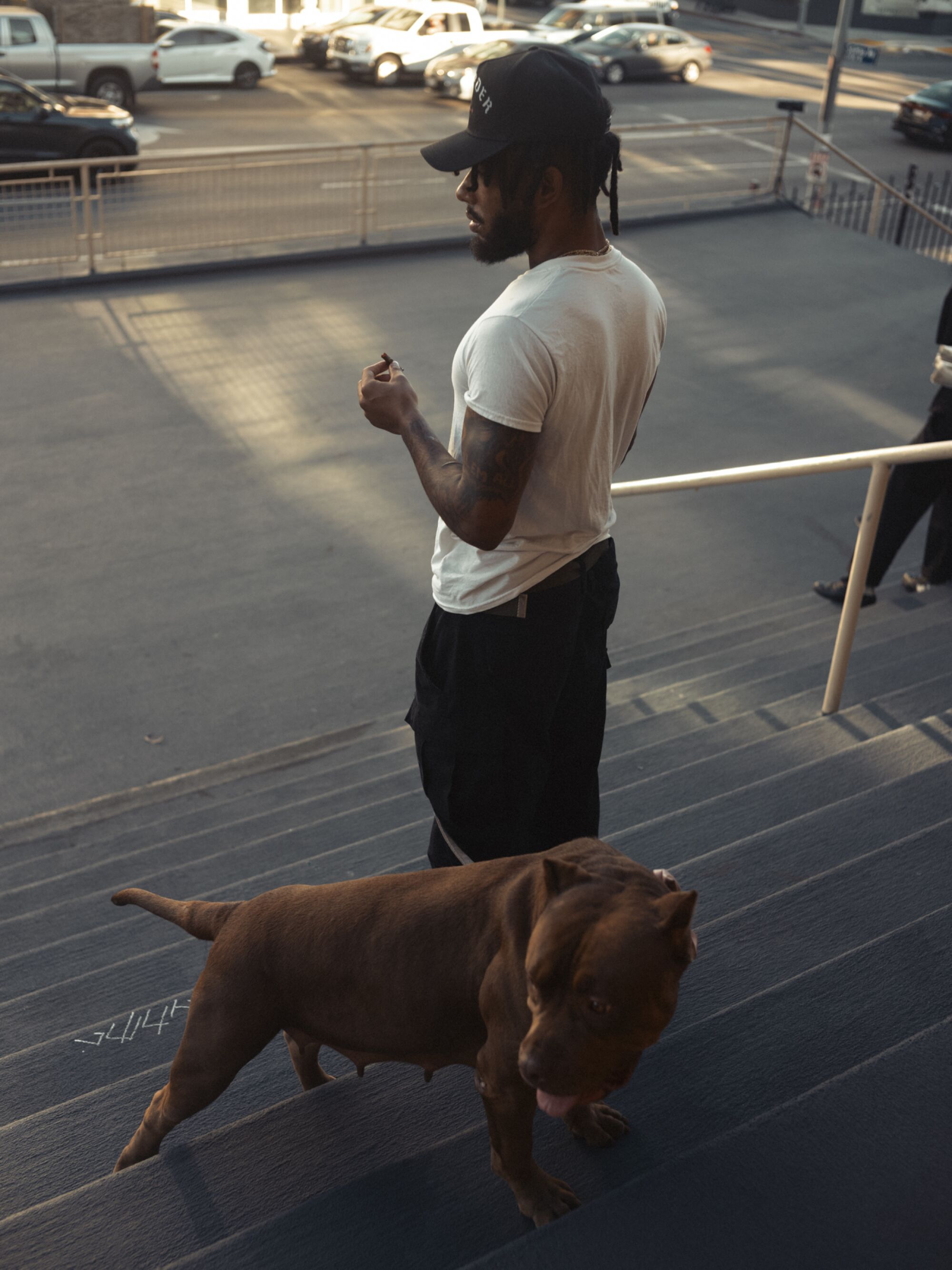 An onlooker and dog watch traffic drive by at Hollywood High.