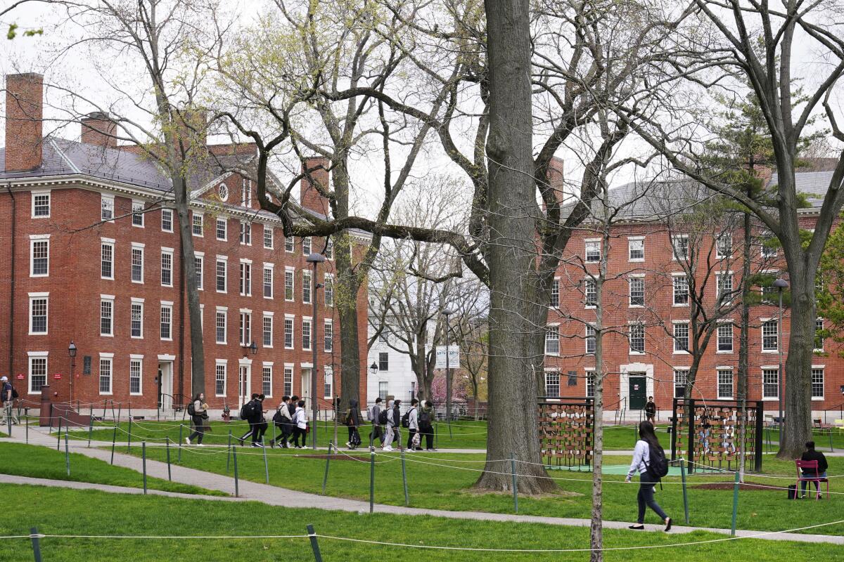 Students walk through the campus of Harvard University. 