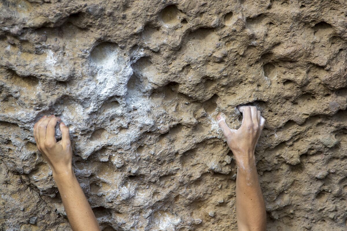 Chalked hands find holds on the rocks in Malibu Creek State Park.