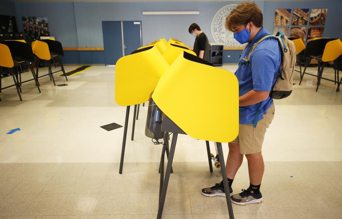 A voter in a voting booth