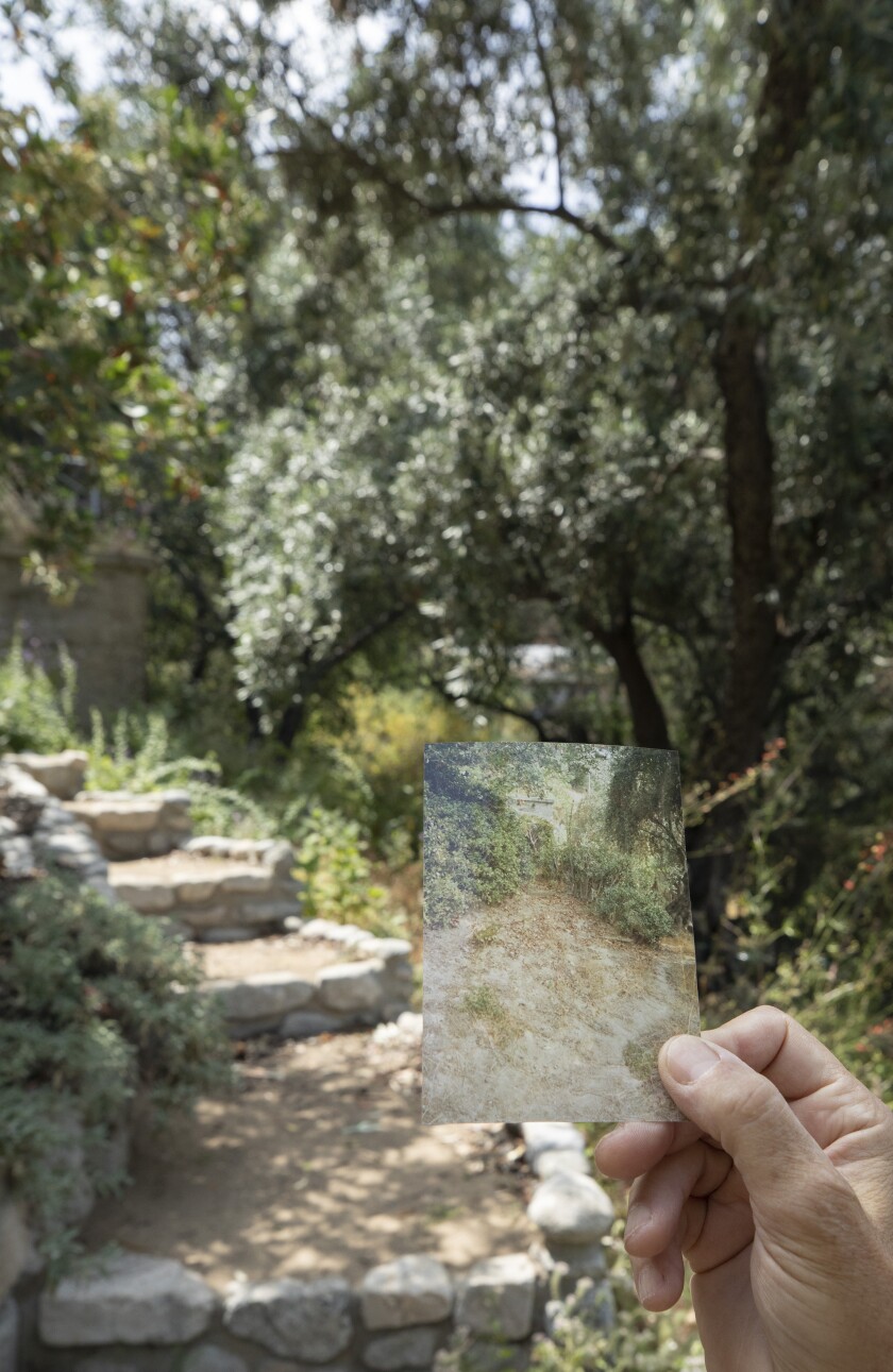 A hand holds up a 1992 photo showing the barren yard in front of the current landscape of lush native plants and stairs. 