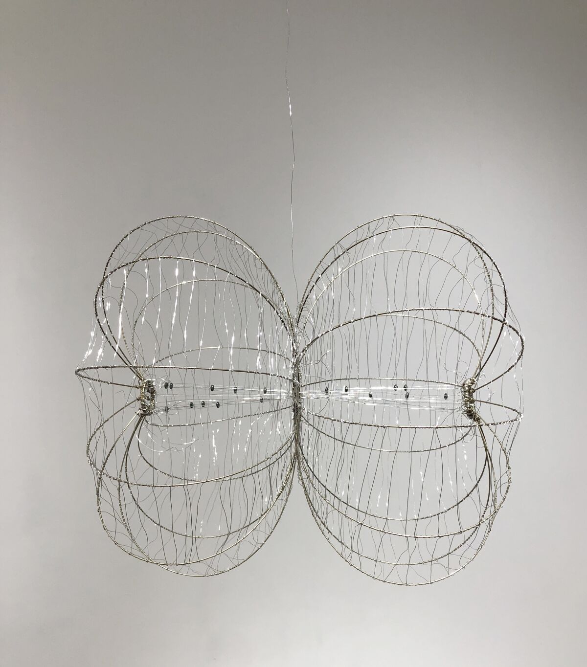 Cell Split by Anne Mudge