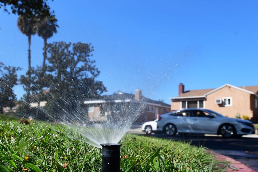 A sprinkler waters grass in Alhambra, California on September 23, 2021. - Water usage in Southern California has increased since July when Governor Gavin Newsom asked cities to conserve water usage by at least 15% due to California's worsening drought situation. (Photo by Frederic J. BROWN / AFP) (Photo by FREDERIC J. BROWN/AFP via Getty Images)