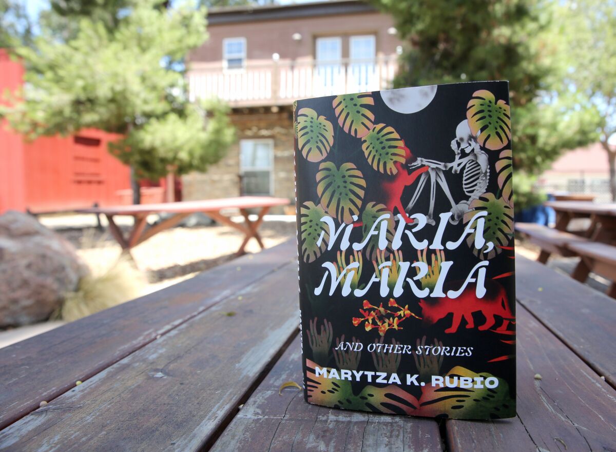 Maria, Maria and Other Stories, written by Santa Ana resident Marytza K. Rubio.