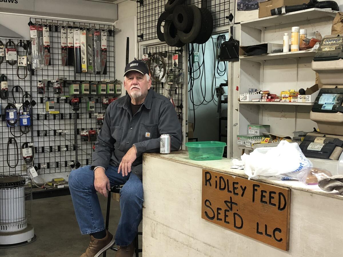 Jeff Ridley, on a stool perched in front of a wall of chainsaw belts, said he had voted early.