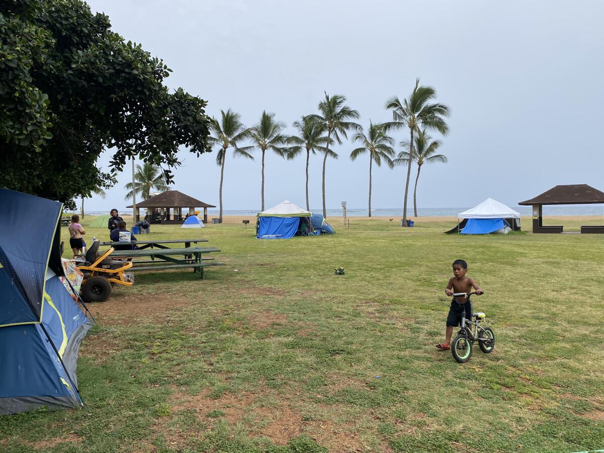 A boy walks his bike across a green space bordered by tents, with palm trees and the ocean in the background.