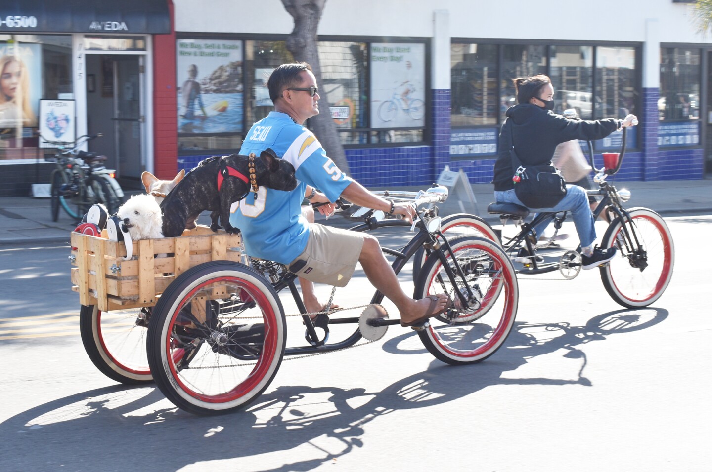 Three dogs were given a ride in a basket attached to a bicycle.