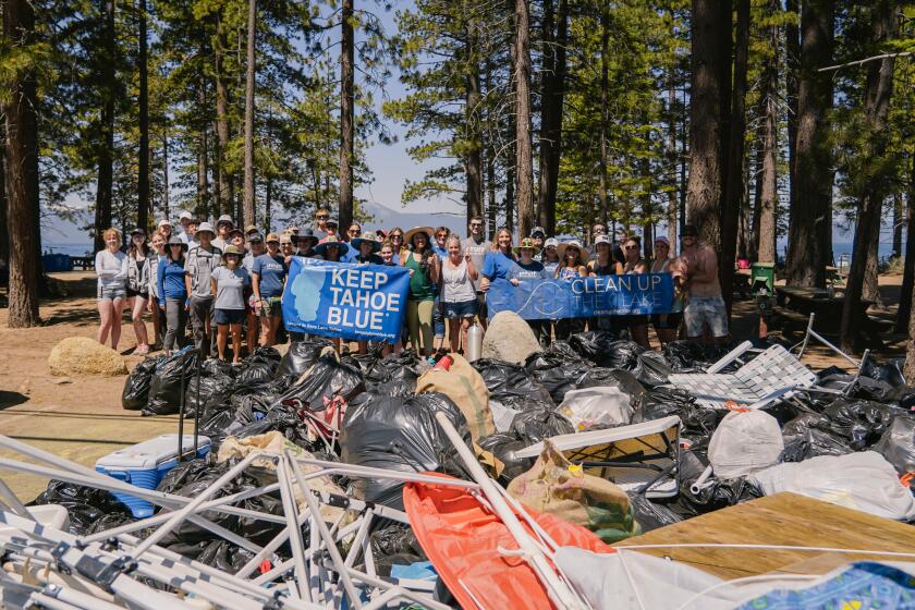 Over the course of just three hours on the morning of July 5th, 402 volunteers cleaned up 8,559 pounds of litter left from Fourth of July celebrations at Lake Tahoe.