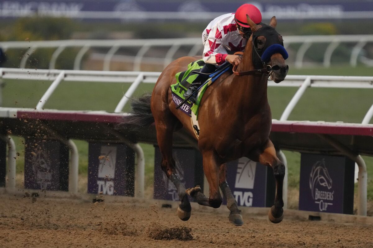 Mike Smith rides Corniche to win the Breeders' Cup Juvenile horse race at the Del Mar racetrack.