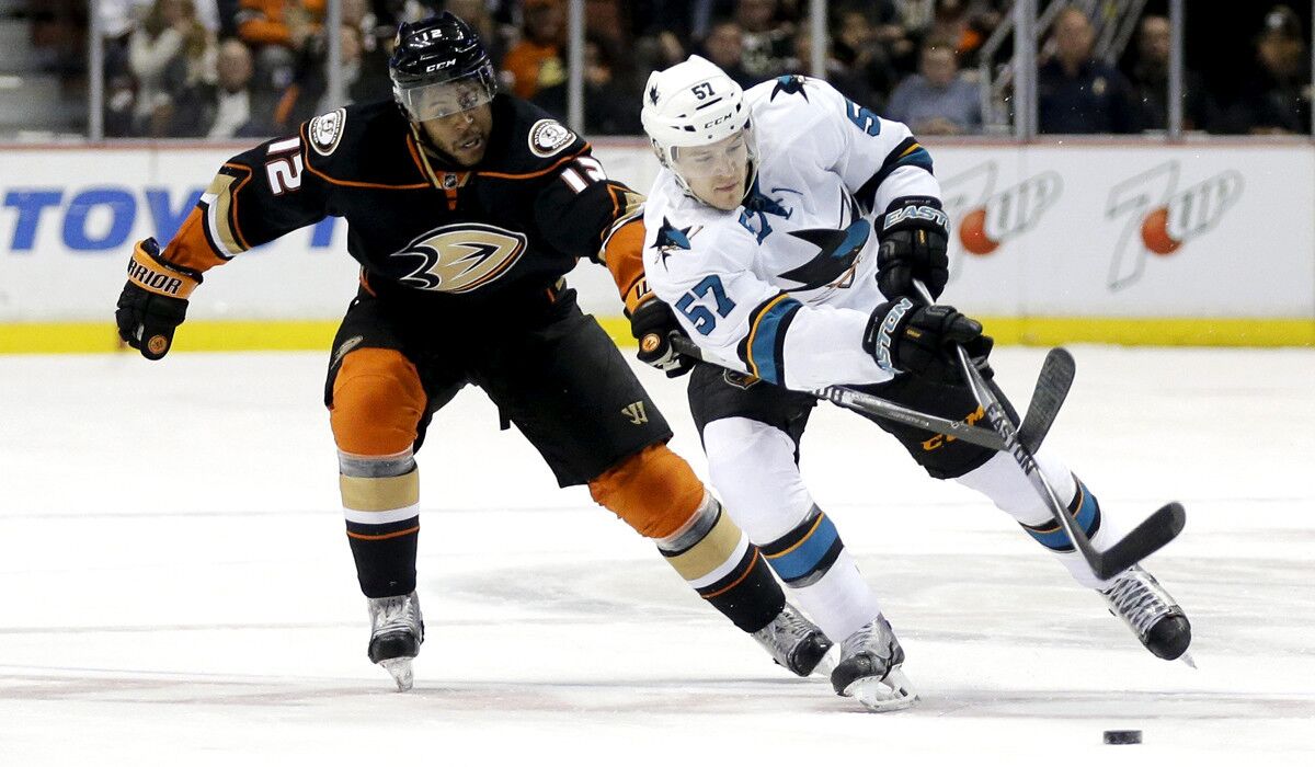 Sharks center Tommy Wingels takes a shot under pressure from Ducks right wing Devante Smith-Pelly on Dec. 31.