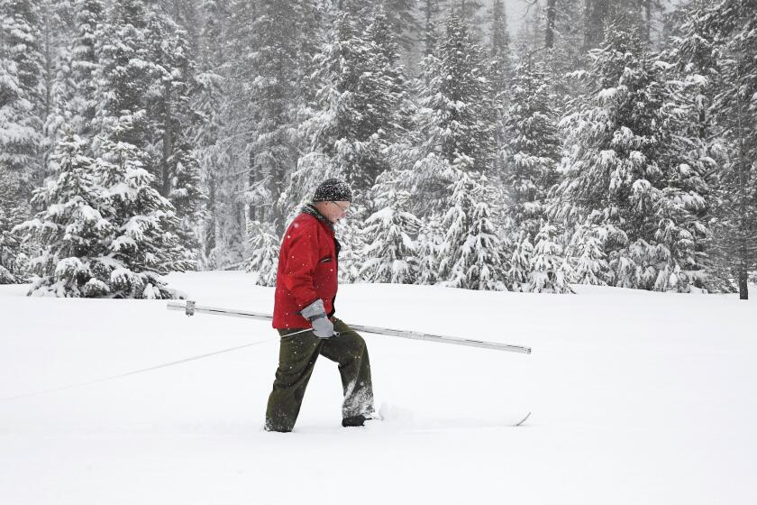 Frank Gehrke of the California Department of Water Resources surveys the snowpack at Phillips Station near Echo Summit, Calif.