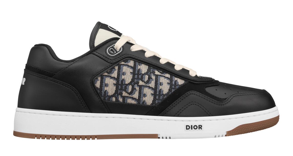 Dior Men's B27 Low-Top sneakers.