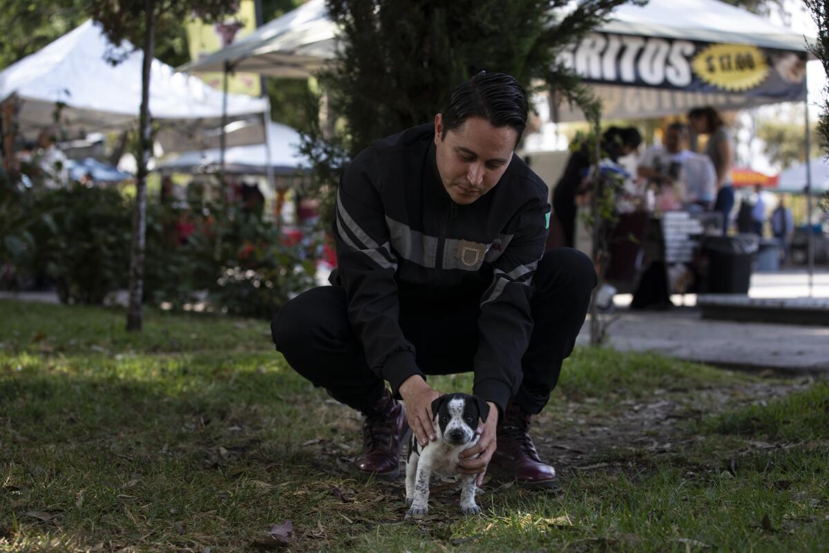 Tijuana busca frenar la venta ilegal de mascotas en la garita de San Ysidro  - San Diego Union-Tribune en Español