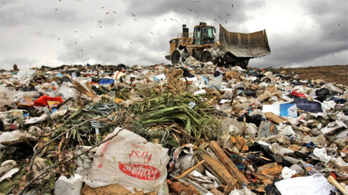 PART OF THE SCENE: A plastic grocery store bag lies amid trash at a Calabasas landfill. Environmentalists argue the countys 6 billion plastic bags litter streets and harm marine life.