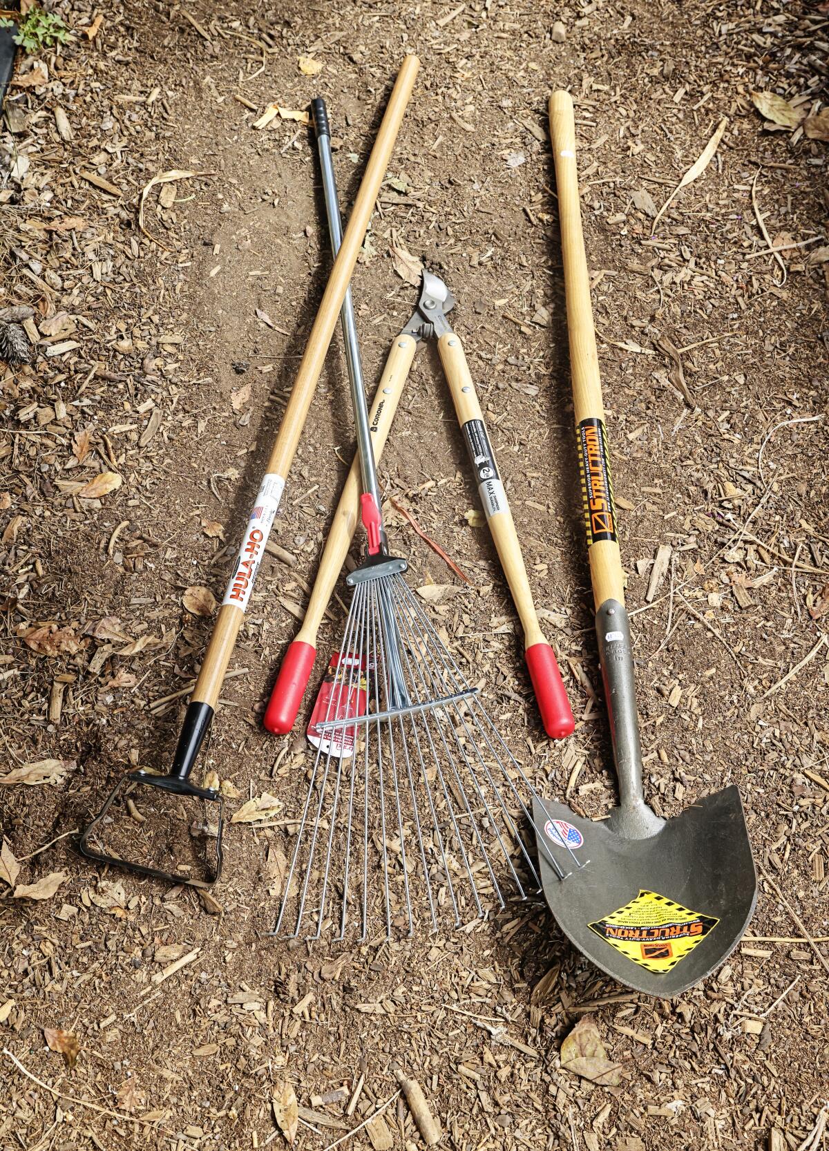 A hula hoe, adjustable steel rake, bypass lopper pruner and shovel.
