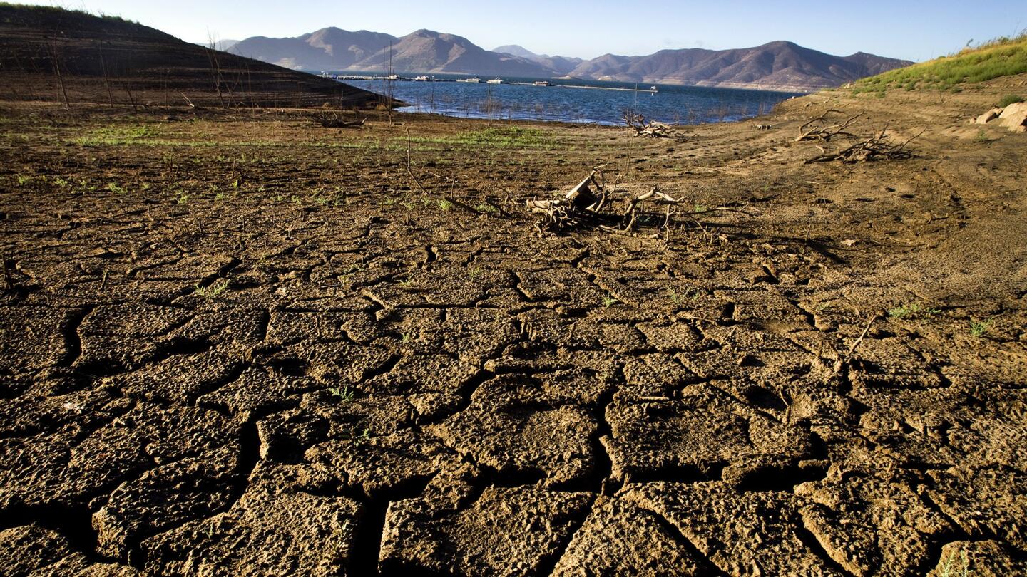 On Assignment: Focusing on the effects of California's persistent drought