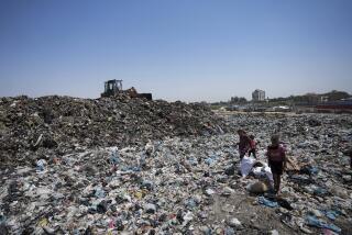 Palestinians sort through trash at a landfill in Nuseirat refugee camp, Gaza Strip, Thursday, June 20, 2024. Israel's war in Gaza has decimated the strip's sanitation system while simultaneously displacing the vast majority of the population, leaving many Palestinians living in tent camps nearby water contaminated with sewage and growing piles of garbage. (AP Photo/Abdel Kareem Hana)