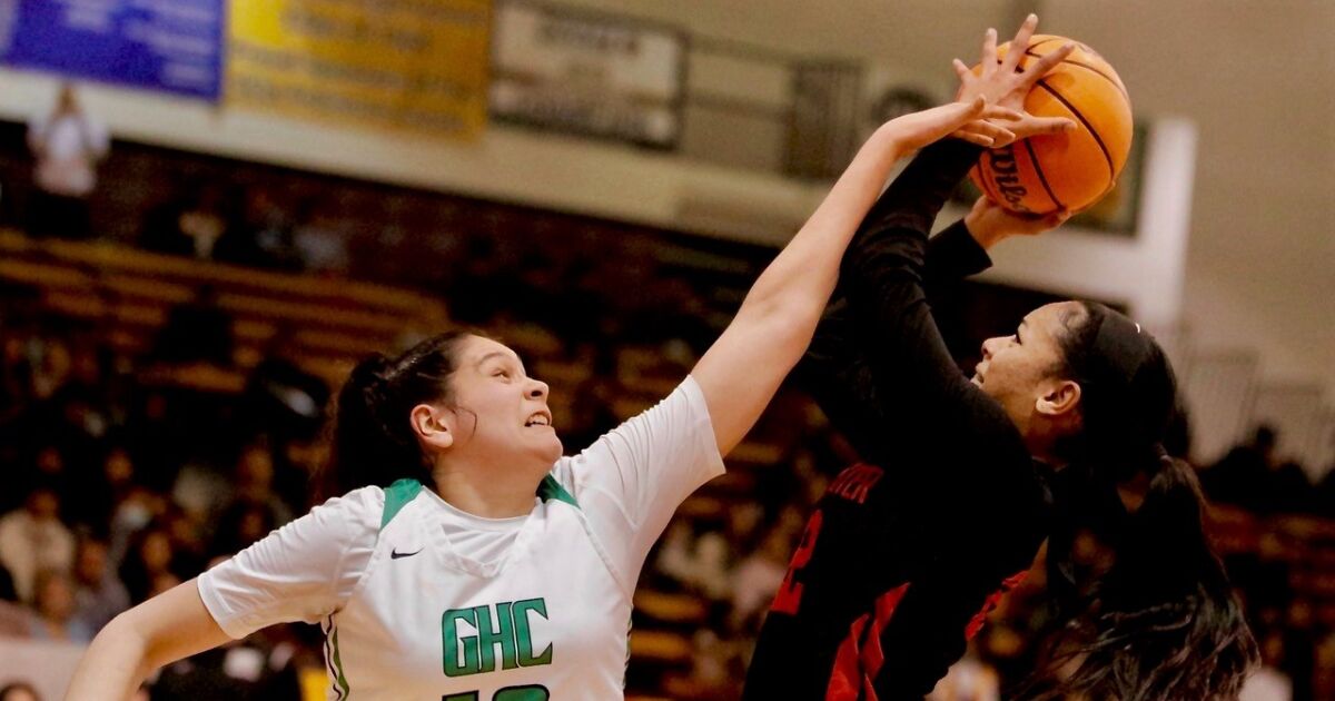 Westchester tops Granada Hills for City Open Division girls’ basketball title