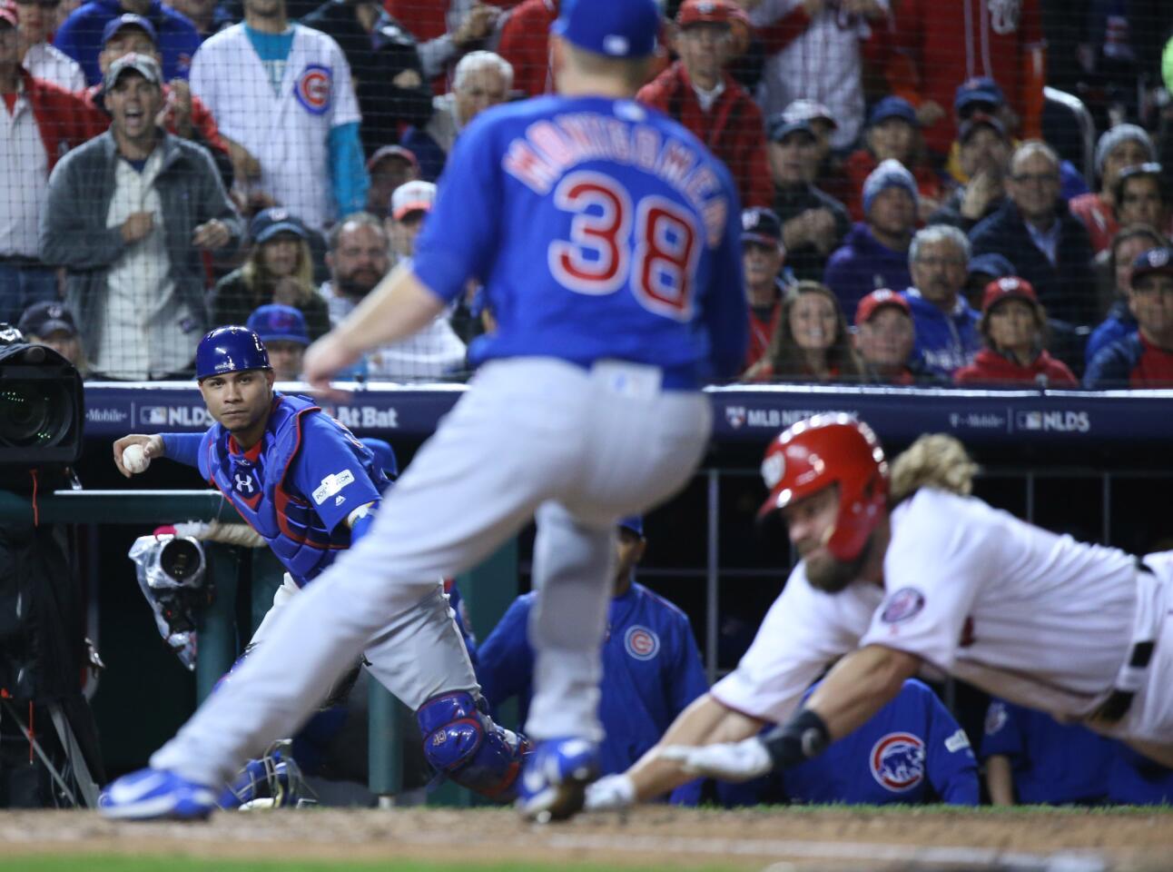 ct-nlds-game-5-cubs-at-nationals-photos-201710-050